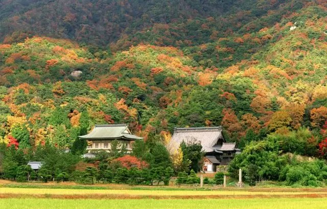 🏯 대원산 서복사(오하라잔 사이후쿠지) 이미지 1